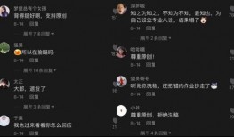 抖音娱乐吃瓜视频用的语音是什么,揭秘热门视频背后的神秘语音之谜